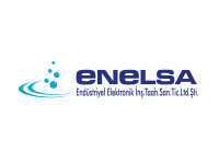 ENELSA